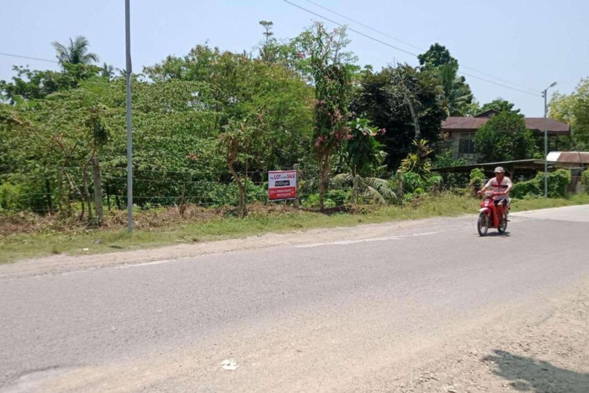 Land for Sale in Poblacion III, Carcar, Cebu