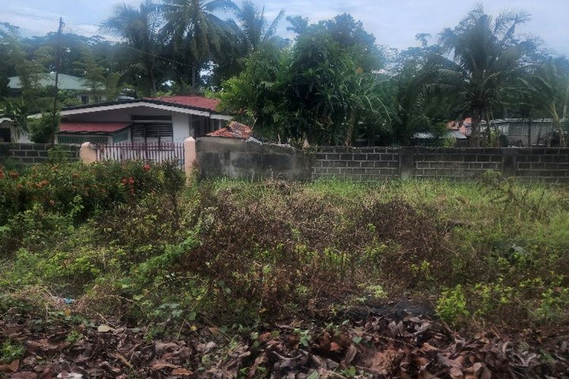 Land for Sale in Poblacion III, Carcar, Cebu – photo 3