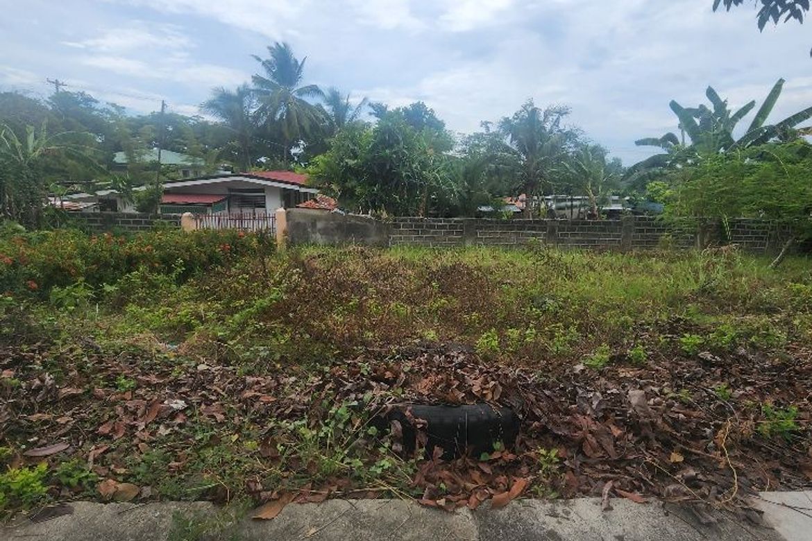 Land for Sale in Poblacion III, Carcar, Cebu – photo 4