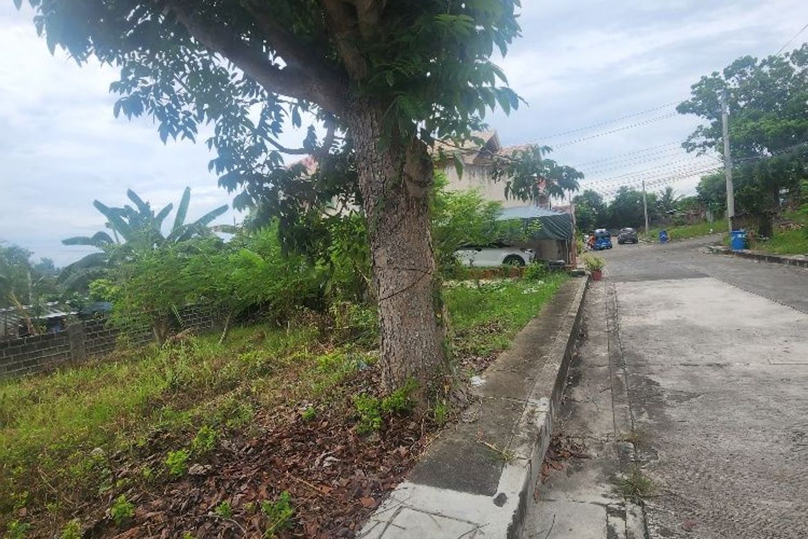 Land for Sale in Poblacion III, Carcar, Cebu – photo 6