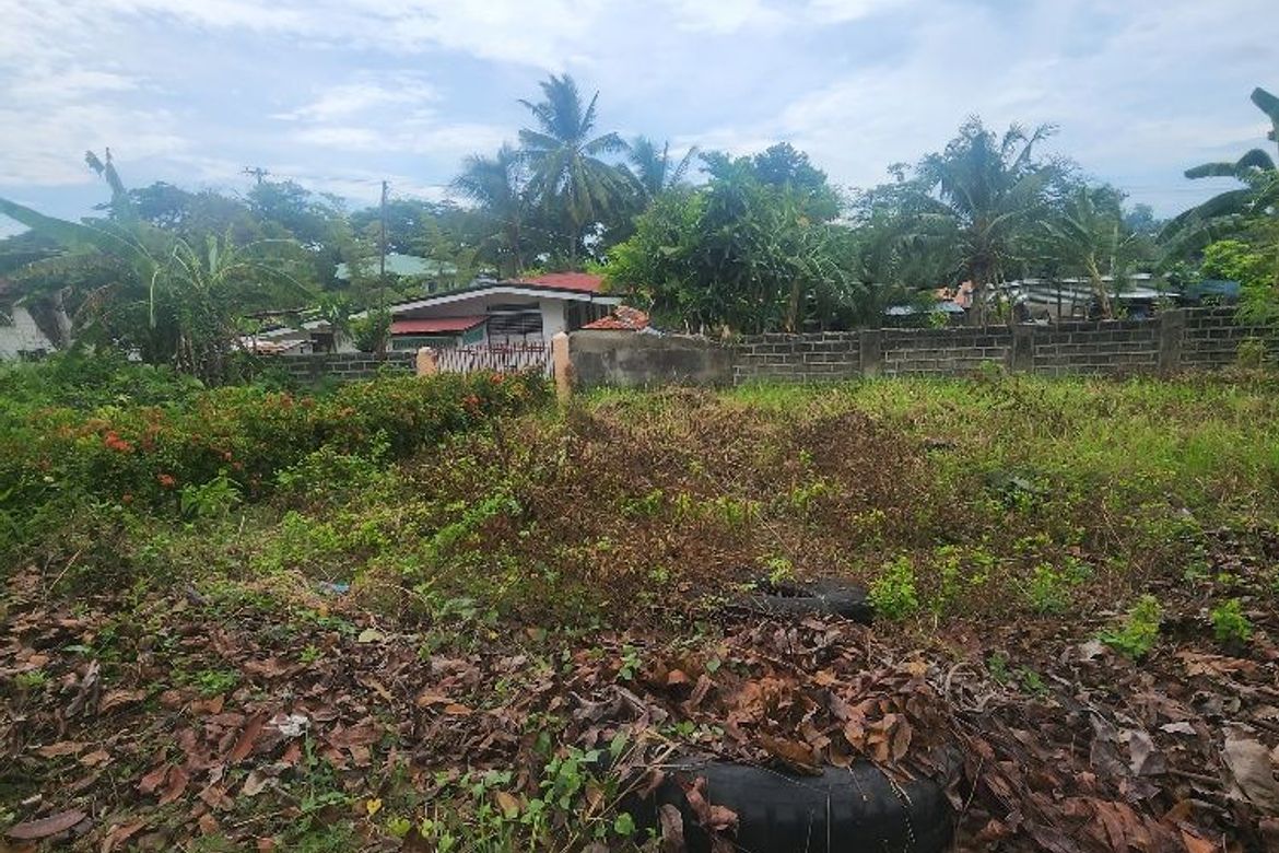 Land for Sale in Poblacion III, Carcar, Cebu – photo 7