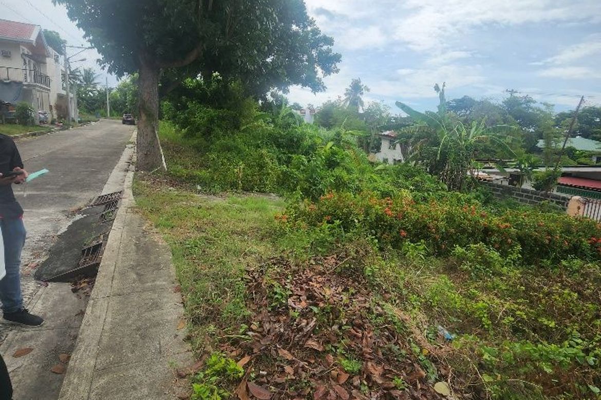 Land for Sale in Poblacion III, Carcar, Cebu – photo 8