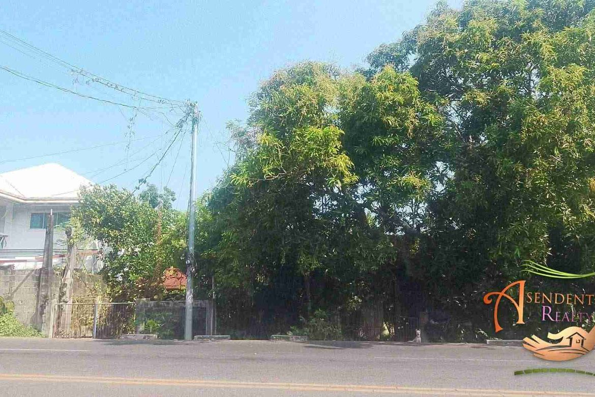 Land for Sale in Poblacion III, Enrique B. Magalona, Negros Occidental – photo 2
