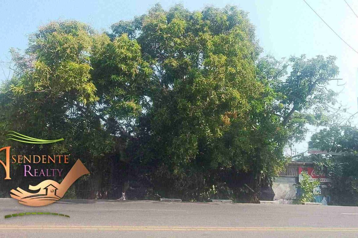 Land for Sale in Poblacion III, Enrique B. Magalona, Negros Occidental – photo 3
