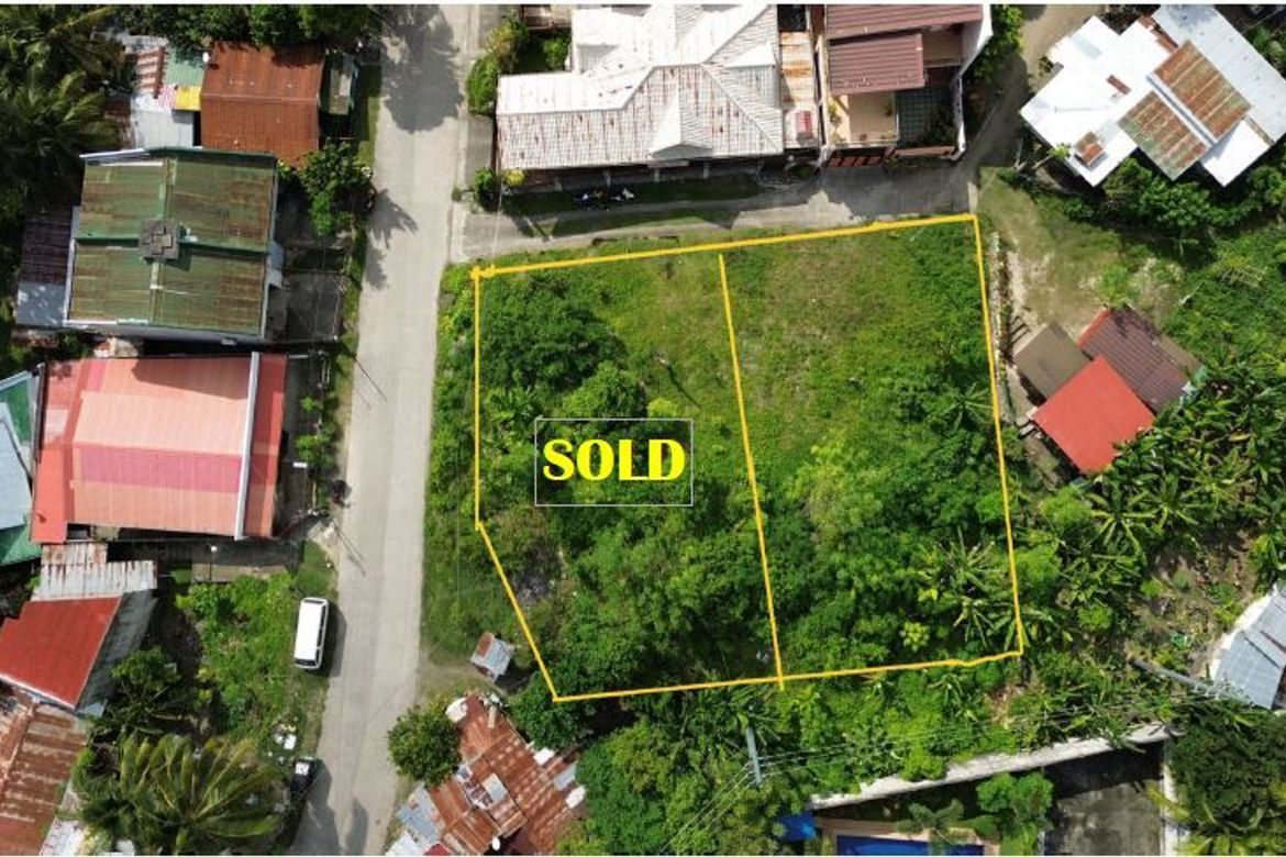 Land for Sale in Poblacion III, Tagbilaran, Bohol