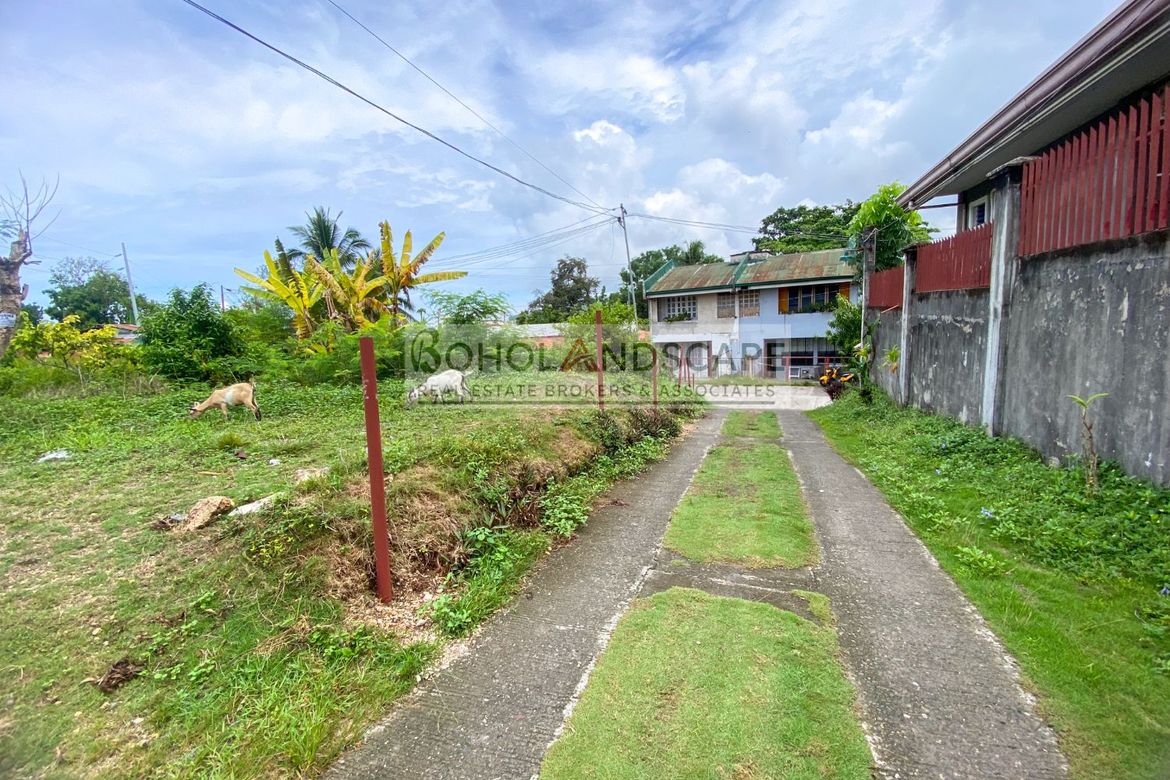 Land for Sale in Poblacion III, Tagbilaran, Bohol – photo 3
