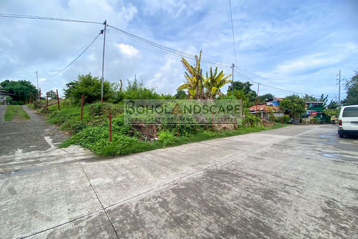Land for Sale in Poblacion III, Tagbilaran, Bohol – photo 4