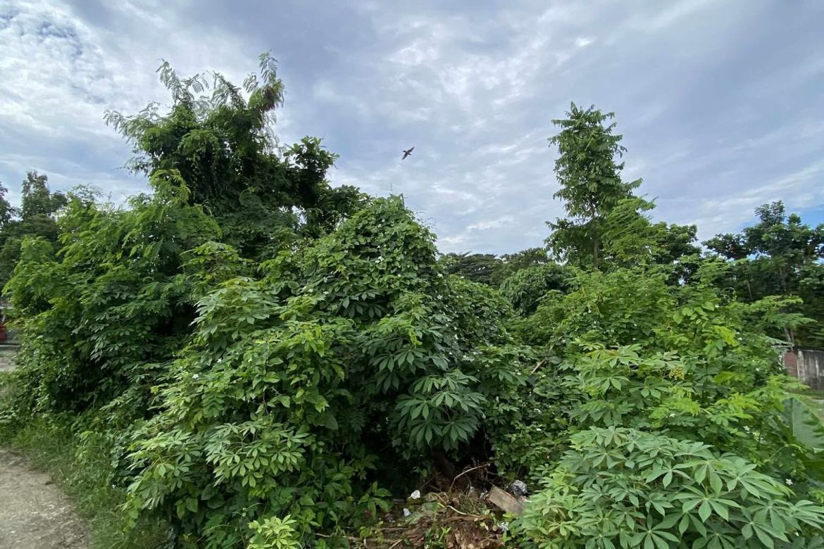 Land for Sale in Poblacion III, Tagbilaran, Bohol – photo 2