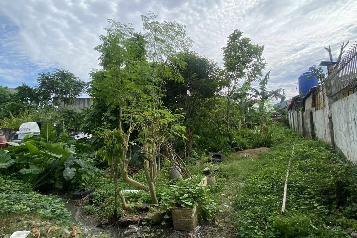 Land for Sale in Poblacion III, Tagbilaran, Bohol – photo 3