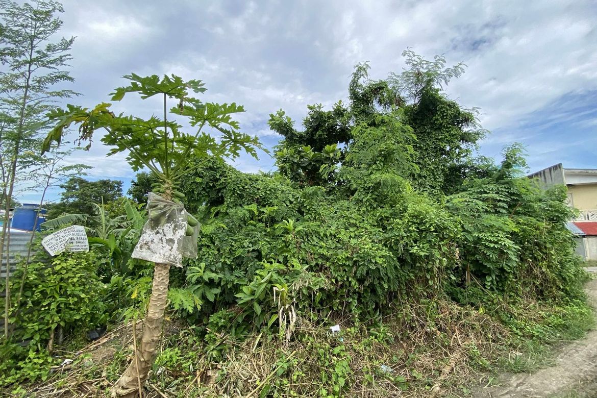 Land for Sale in Poblacion III, Tagbilaran, Bohol – photo 5