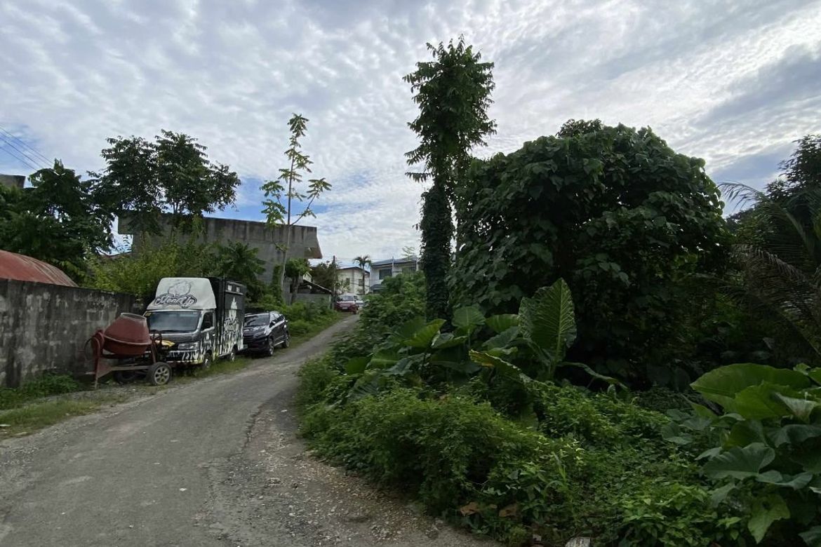 Land for Sale in Poblacion III, Tagbilaran, Bohol – photo 7