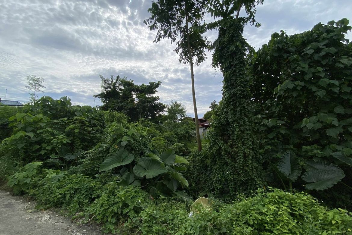 Land for Sale in Poblacion III, Tagbilaran, Bohol – photo 8