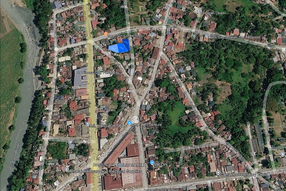 Land for Sale in Poblacion Ilaya, Passi, Iloilo