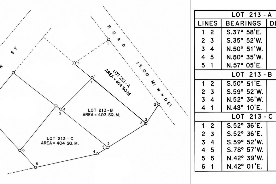 Land for Sale in Poblacion Ilaya, Passi, Iloilo – photo 3