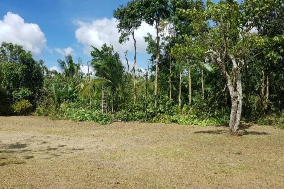 Land for Sale in Poblacion IV, Mendez, Cavite – photo 3