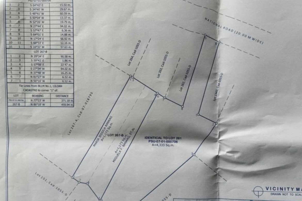 Land for Sale in Poblacion, Liloan, Cebu – photo 4