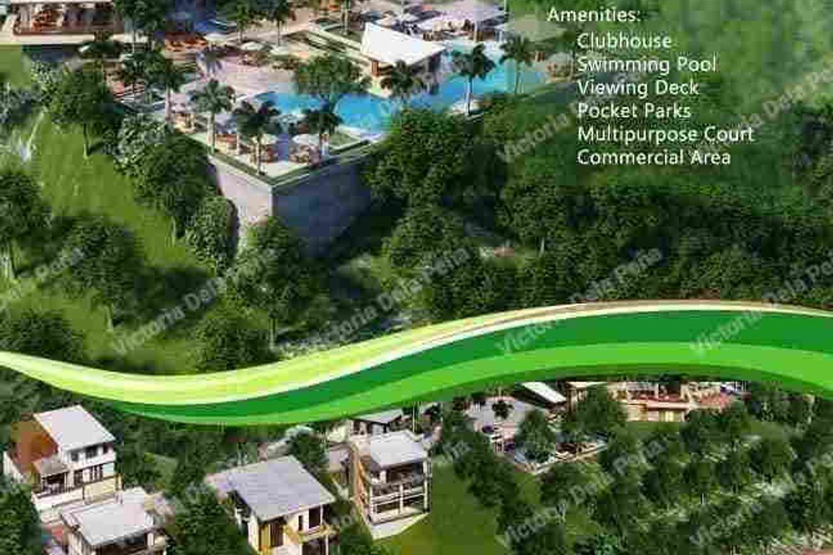 Land for Sale in Poblacion, Liloan, Cebu – photo 6