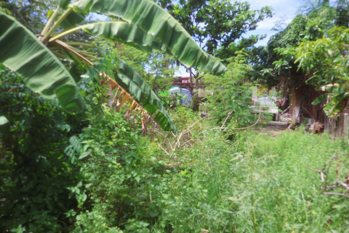 Land for Sale in Poblacion, Lingayen, Pangasinan – photo 7