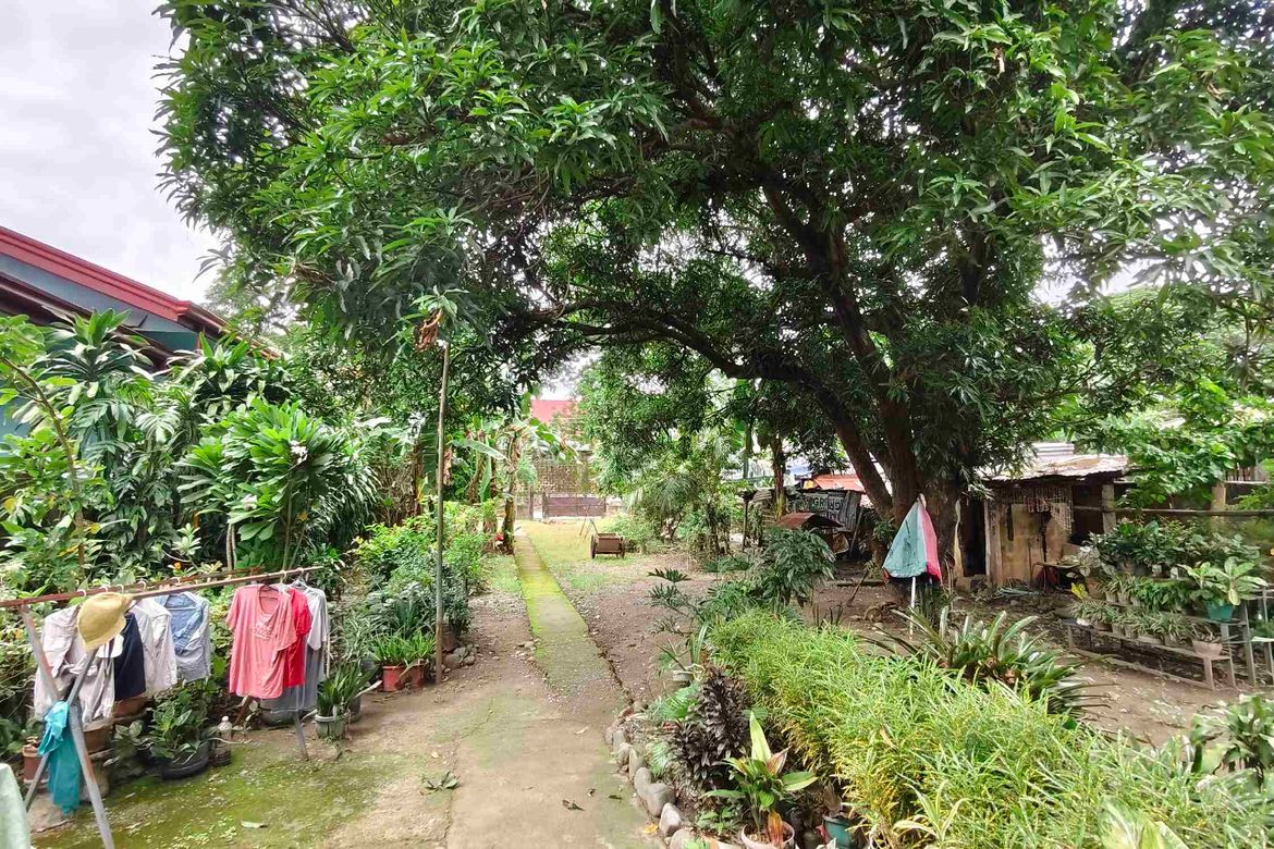 Land for Sale in Poblacion, Mangaldan, Pangasinan – photo 4