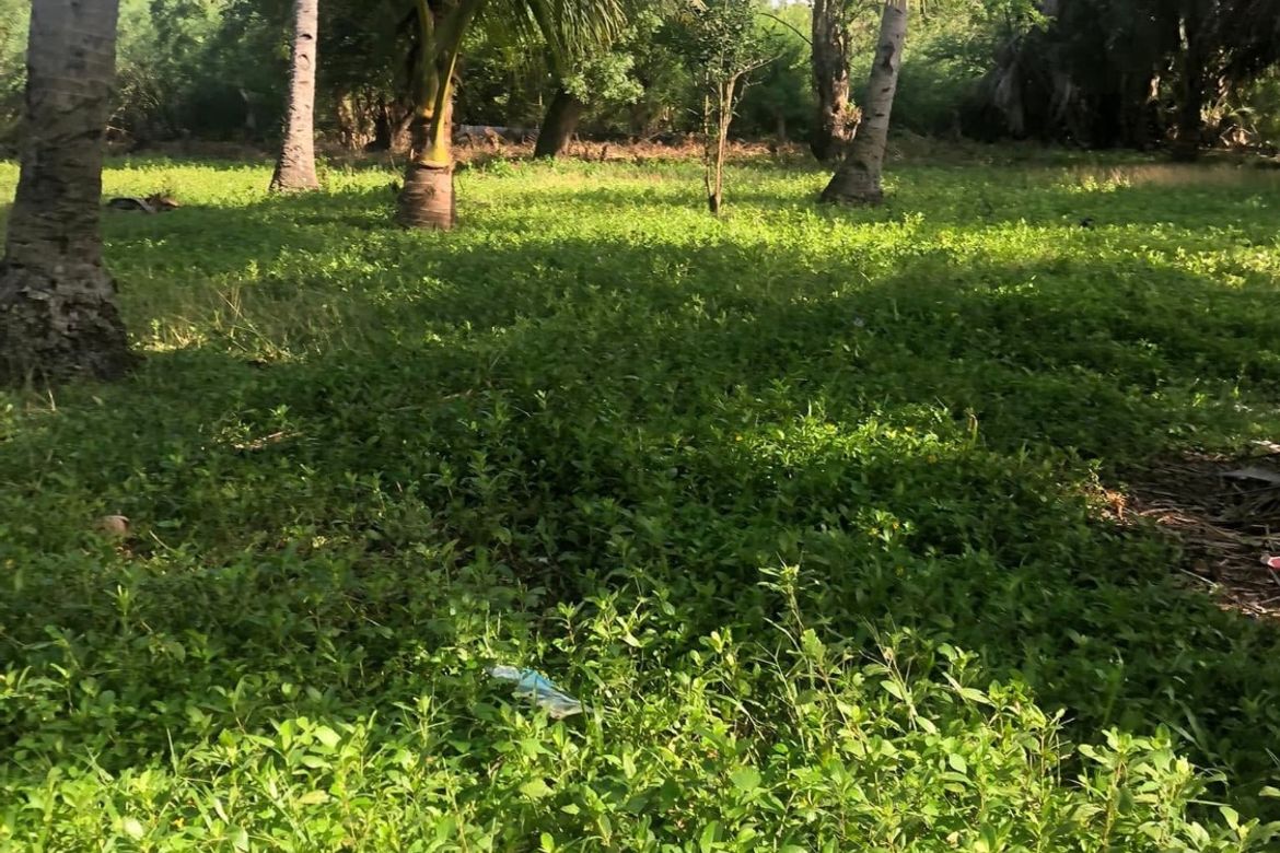 Land for Sale in Poblacion, Manticao, Misamis Oriental – photo 8