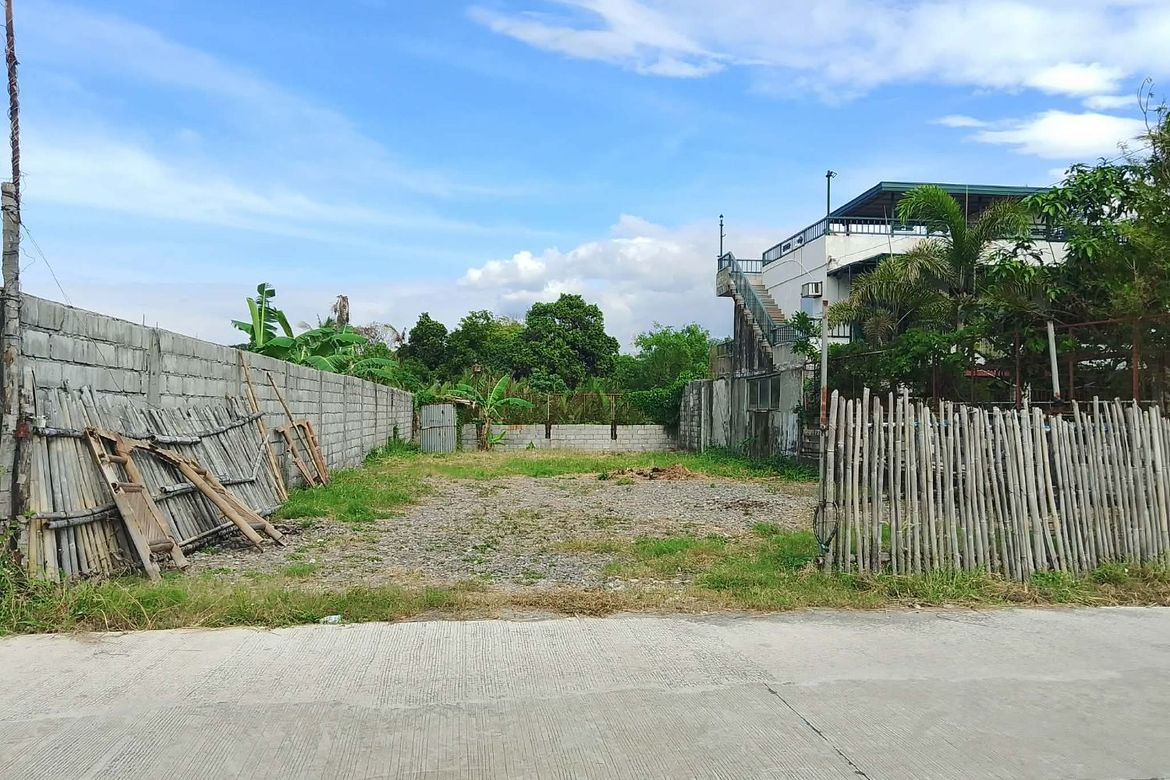 Land for Sale in Poblacion, Morong, Bataan – photo 4