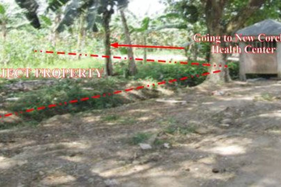 Land for Sale in Poblacion, New Corella, Davao del Norte – photo 2