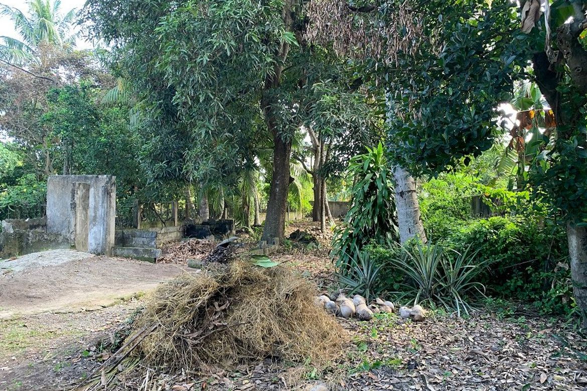 Land for Sale in Poblacion No. 8, Dumaguete, Negros Oriental – photo 5