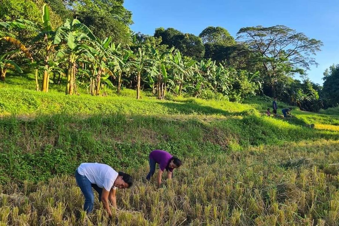 Land for Sale in Poblacion, Norzagaray, Bulacan – photo 4