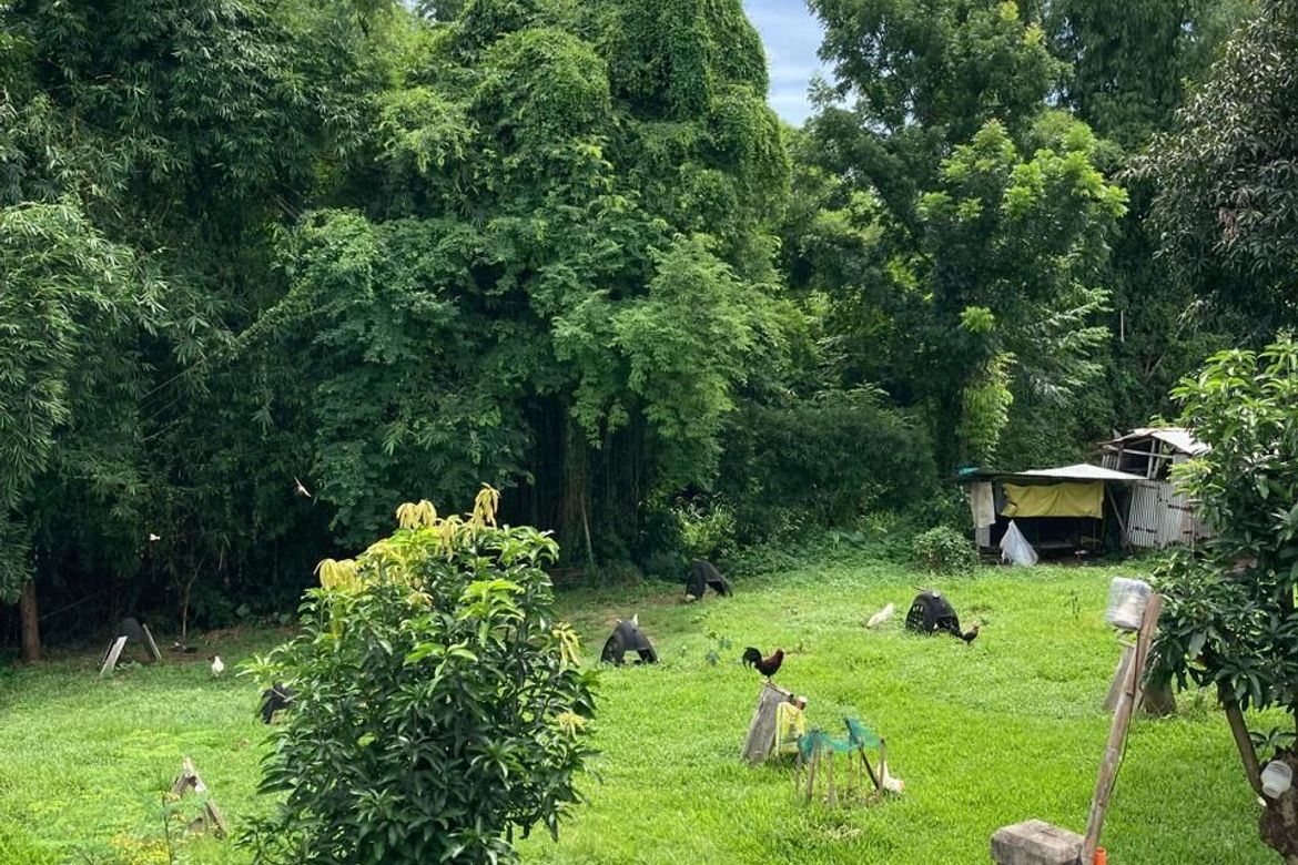 Land for Sale in Poblacion, Norzagaray, Bulacan