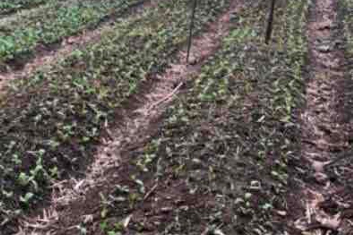 Land for Sale in Poblacion, Norzagaray, Bulacan – photo 3