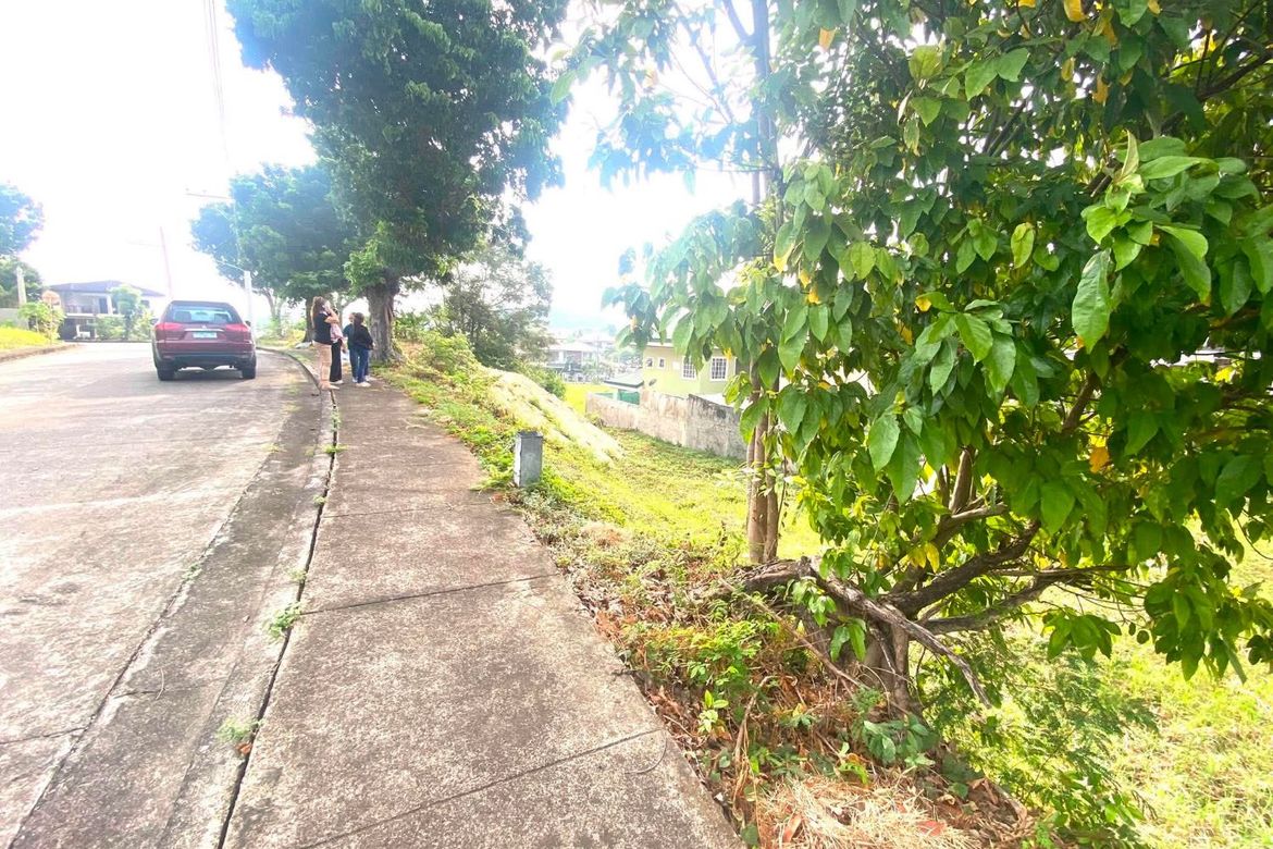 Land for Sale in Poblacion Occidental, Consolacion, Cebu – photo 3
