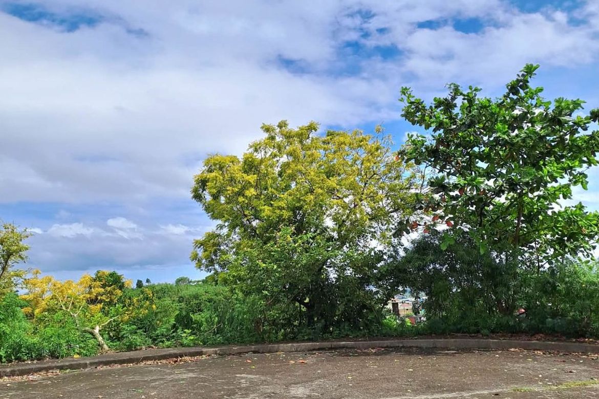 Land for Sale in Poblacion Occidental, Consolacion, Cebu – photo 4
