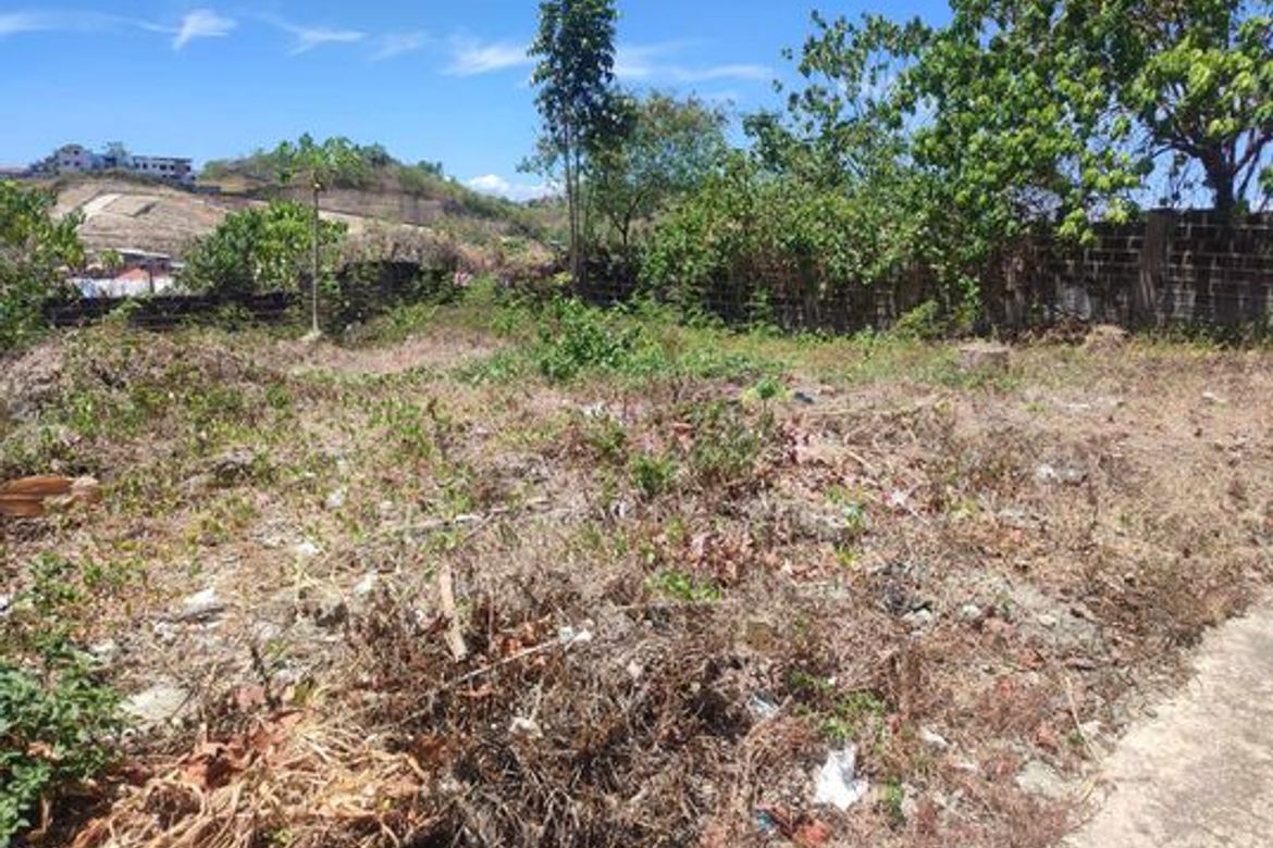 Land for Sale in Poblacion Occidental, Consolacion, Cebu – photo 2