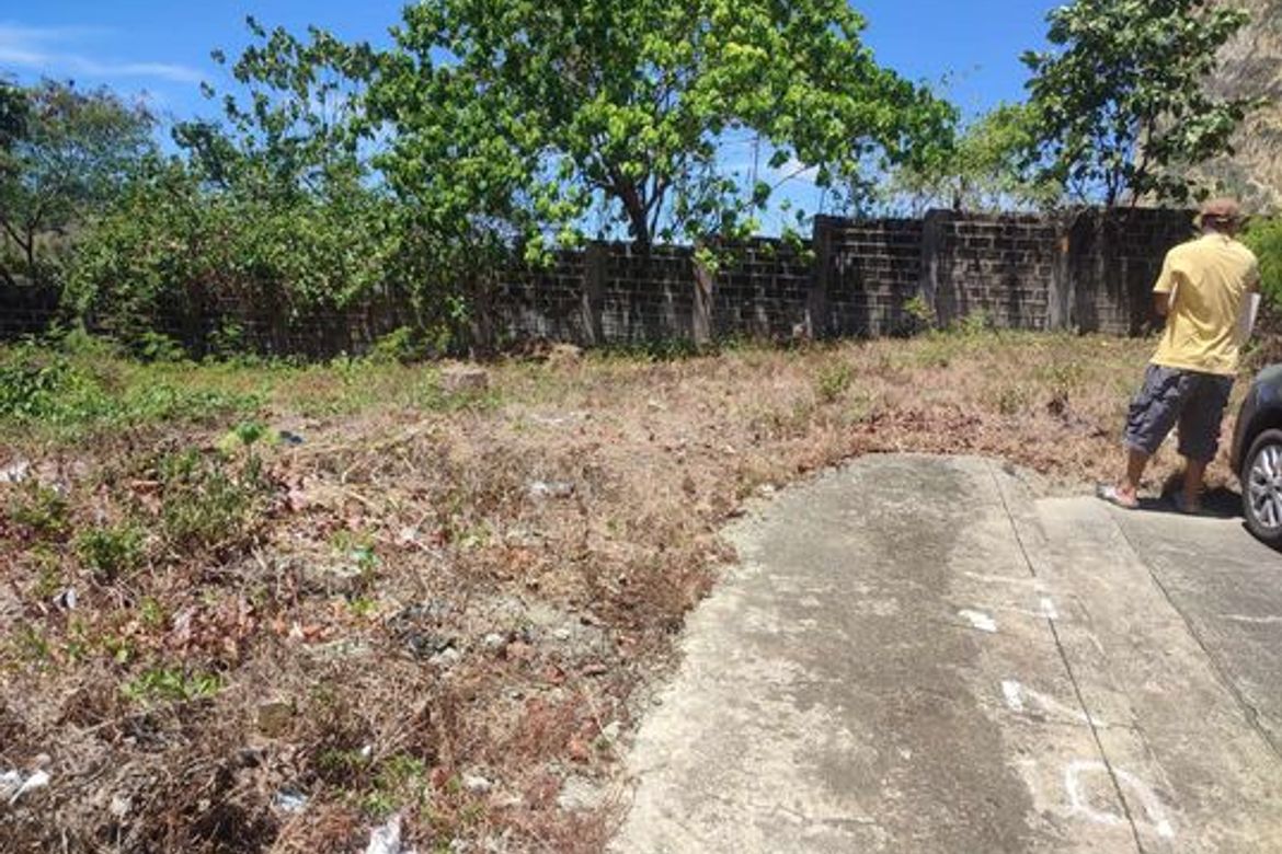Land for Sale in Poblacion Occidental, Consolacion, Cebu – photo 4