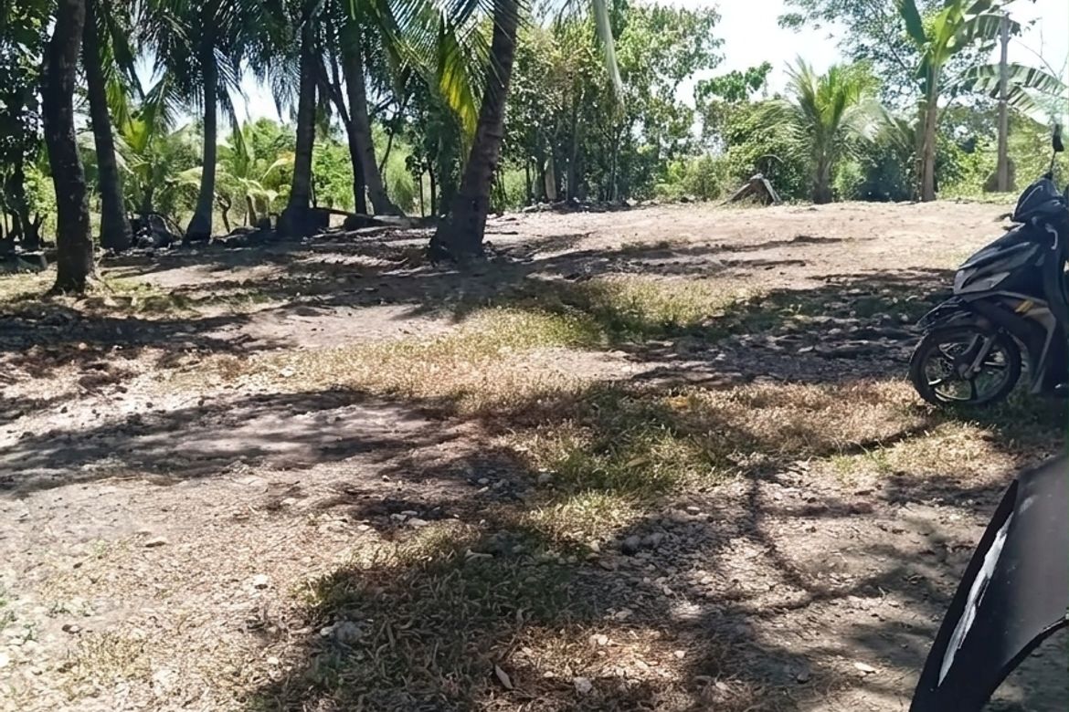 Land for Sale in Poblacion Occidental, Consolacion, Cebu