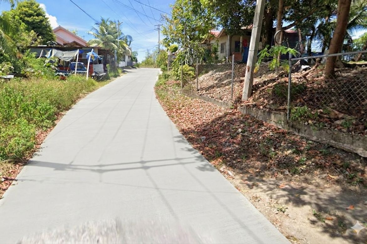 Land for Sale in Poblacion Occidental, Consolacion, Cebu – photo 2