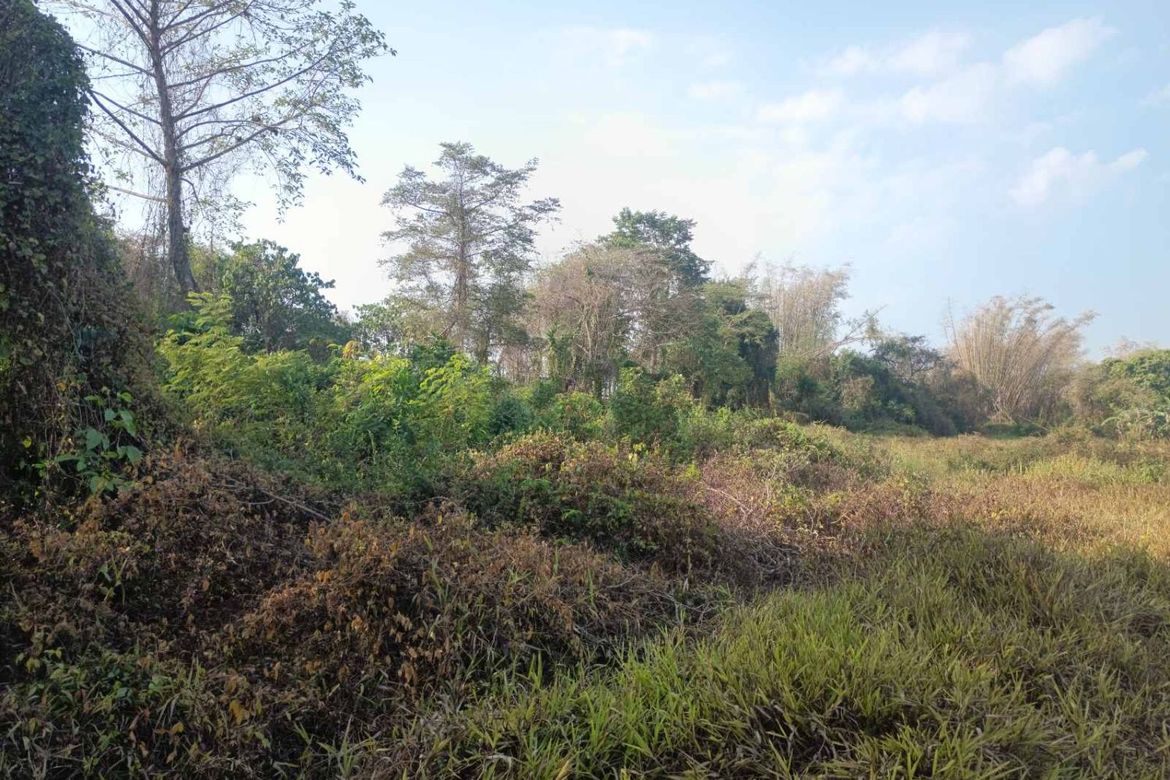 Land for Sale in Poblacion, Pandi, Bulacan – photo 4