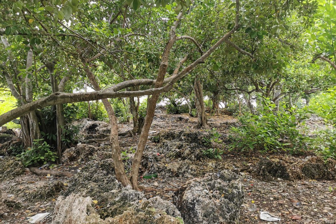 Land for Sale in Poblacion, Panglao, Bohol – photo 3