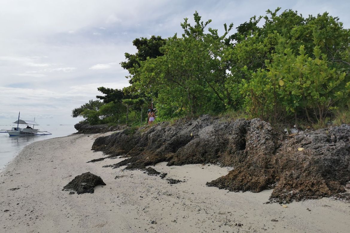 Land for Sale in Poblacion, Panglao, Bohol – photo 4