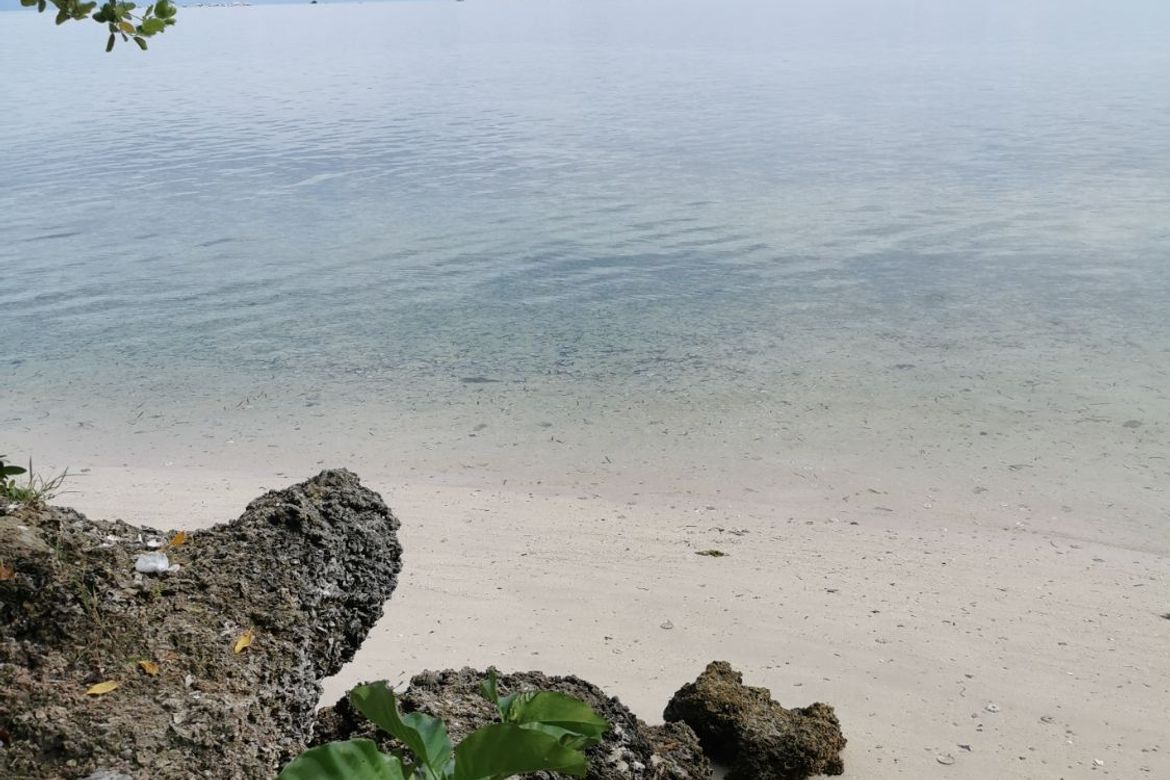 Land for Sale in Poblacion, Panglao, Bohol – photo 6