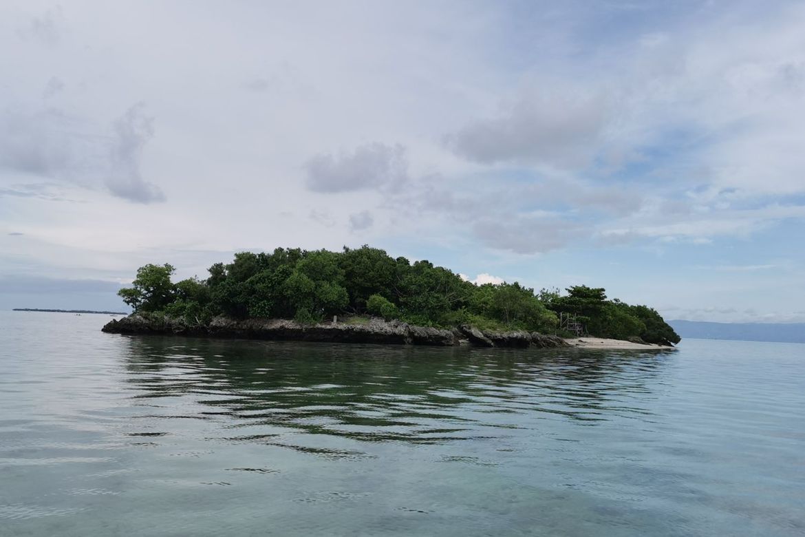 Land for Sale in Poblacion, Panglao, Bohol – photo 6