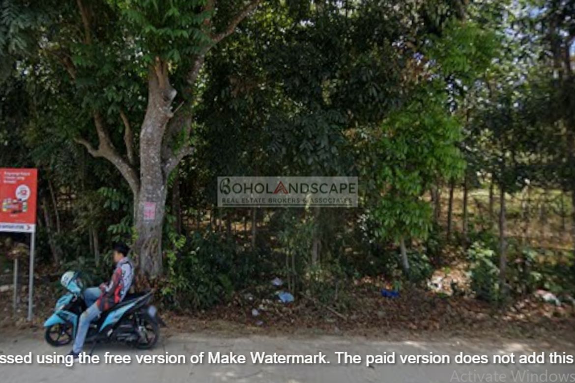 Land for Sale in Poblacion, Panglao, Bohol – photo 4