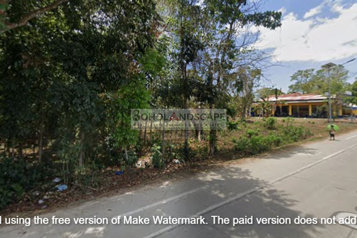 Land for Sale in Poblacion, Panglao, Bohol – photo 5