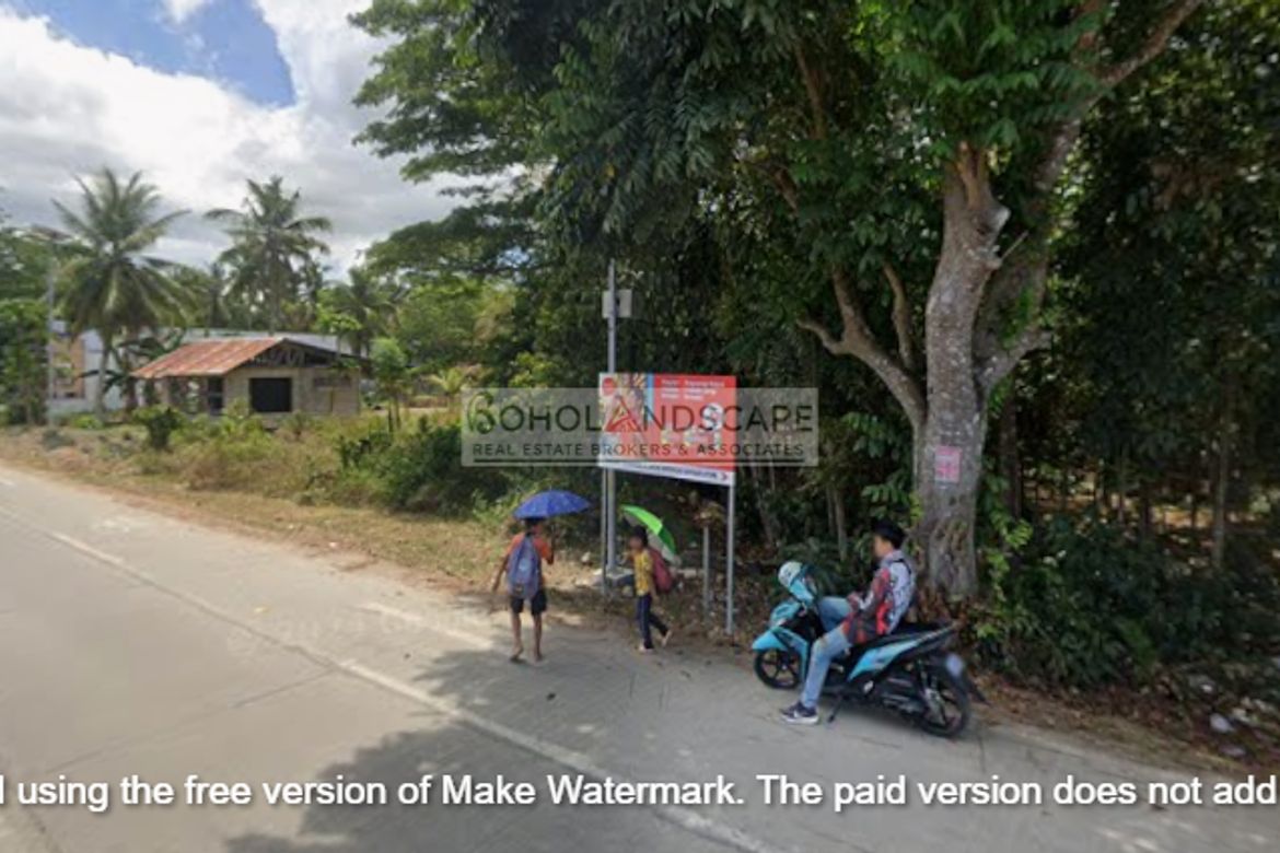 Land for Sale in Poblacion, Panglao, Bohol – photo 6