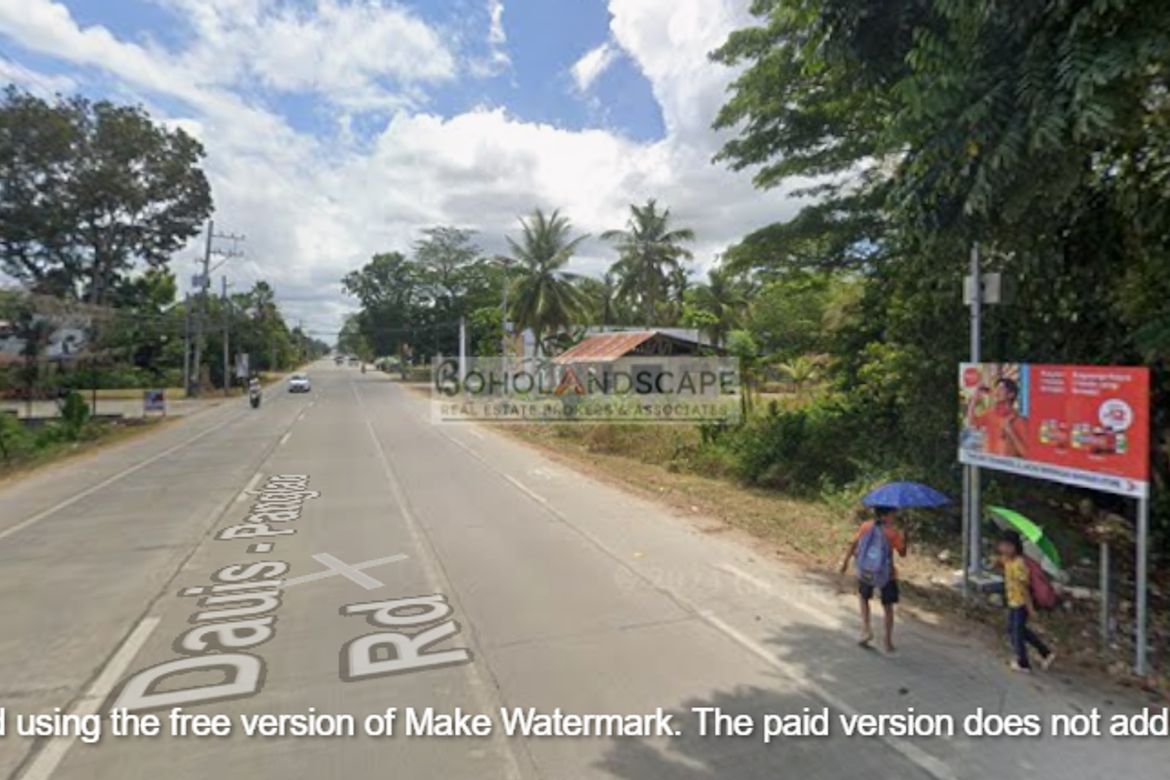 Land for Sale in Poblacion, Panglao, Bohol – photo 7