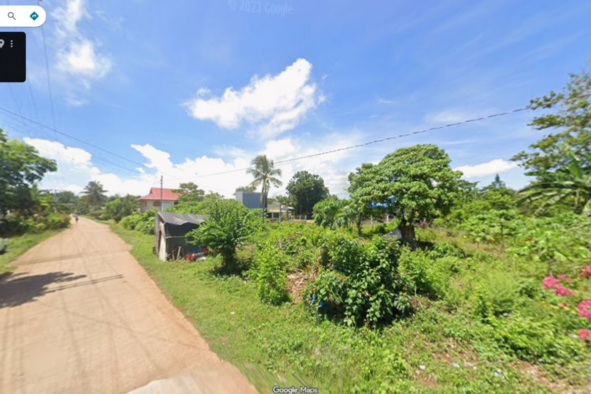 Land for Sale in Poblacion, Panglao, Bohol – photo 3