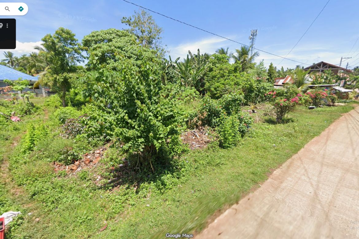 Land for Sale in Poblacion, Panglao, Bohol – photo 4