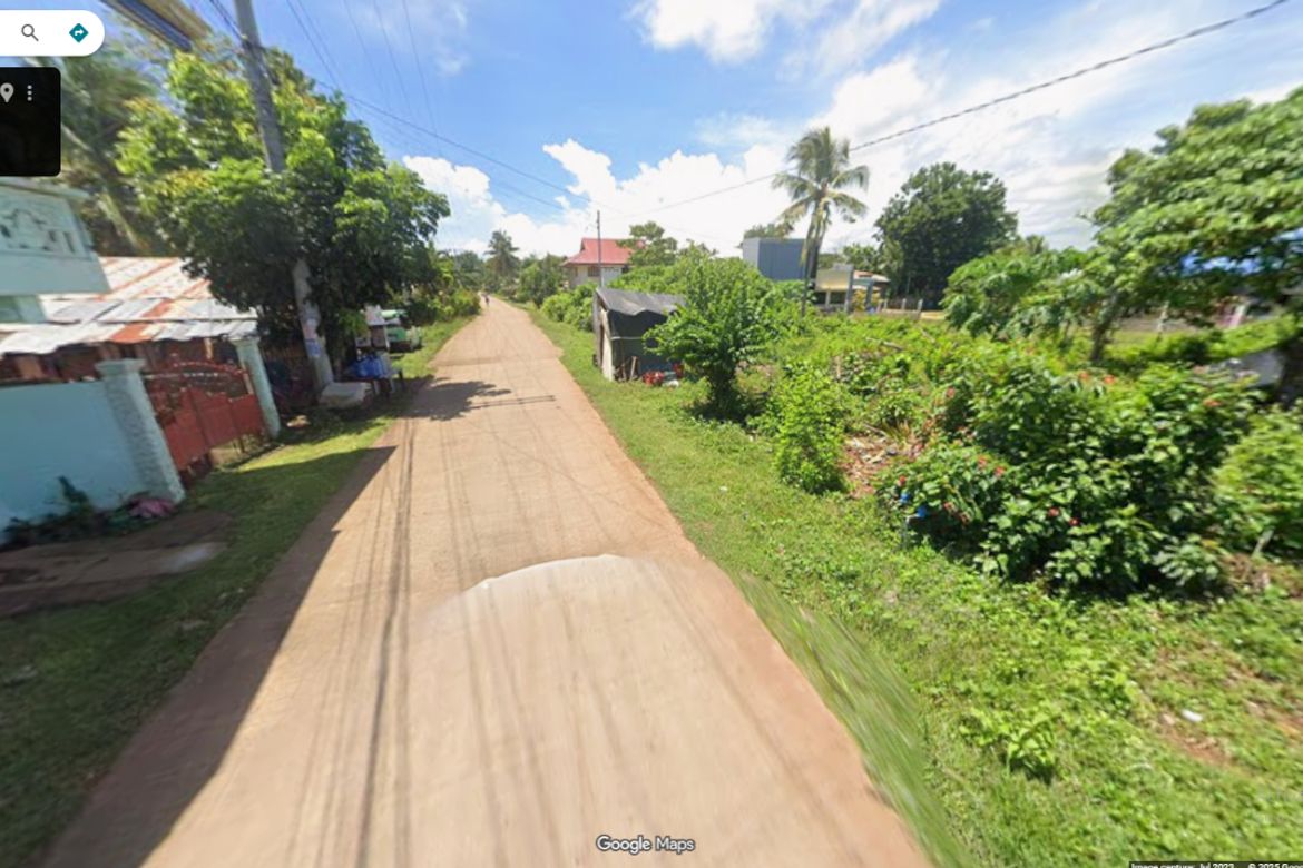 Land for Sale in Poblacion, Panglao, Bohol – photo 6
