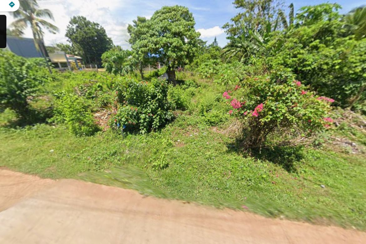 Land for Sale in Poblacion, Panglao, Bohol – photo 8