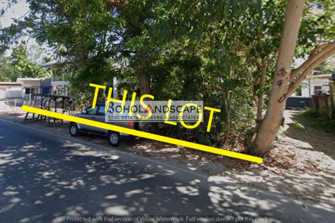 Land for Sale in Poblacion, Panglao, Bohol – photo 4